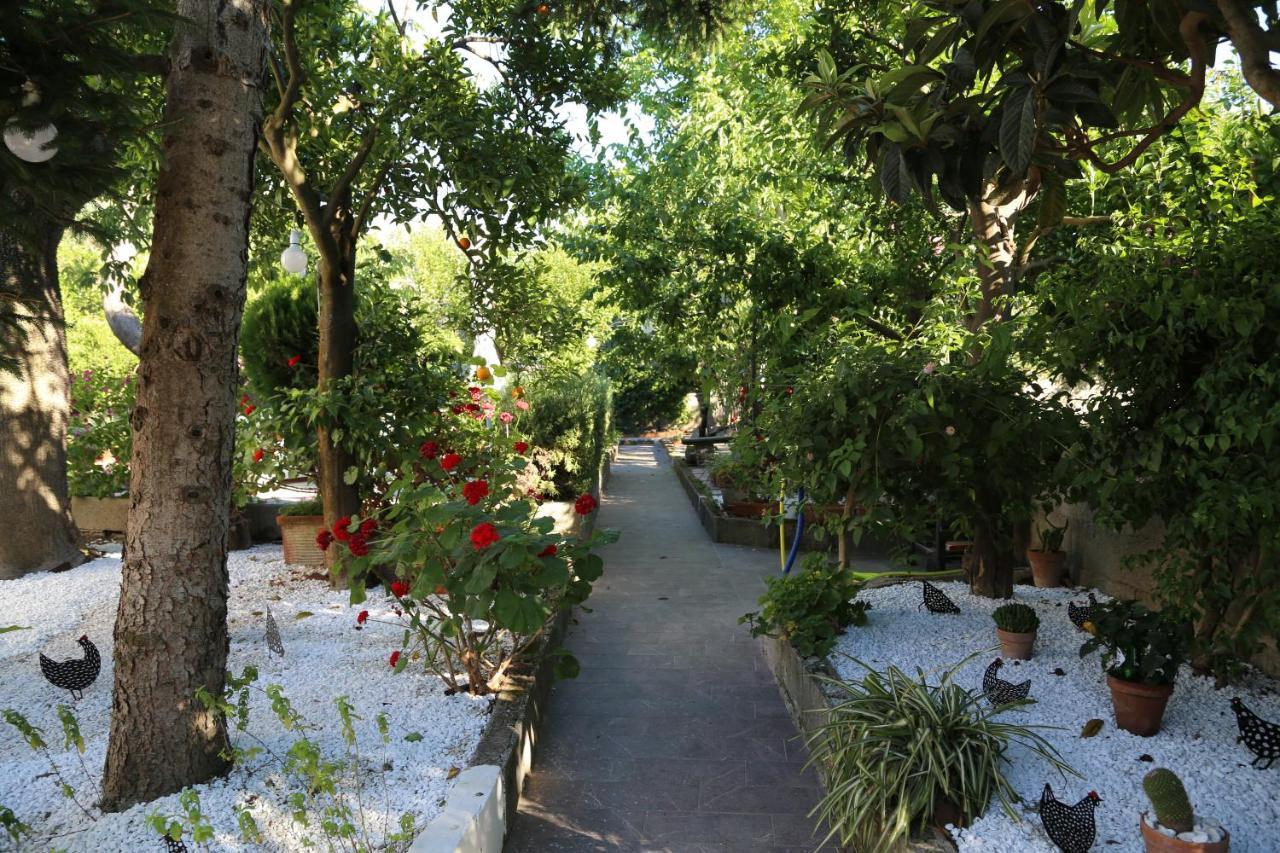 B&B Villa Gemini Sant'Agnello Luaran gambar
