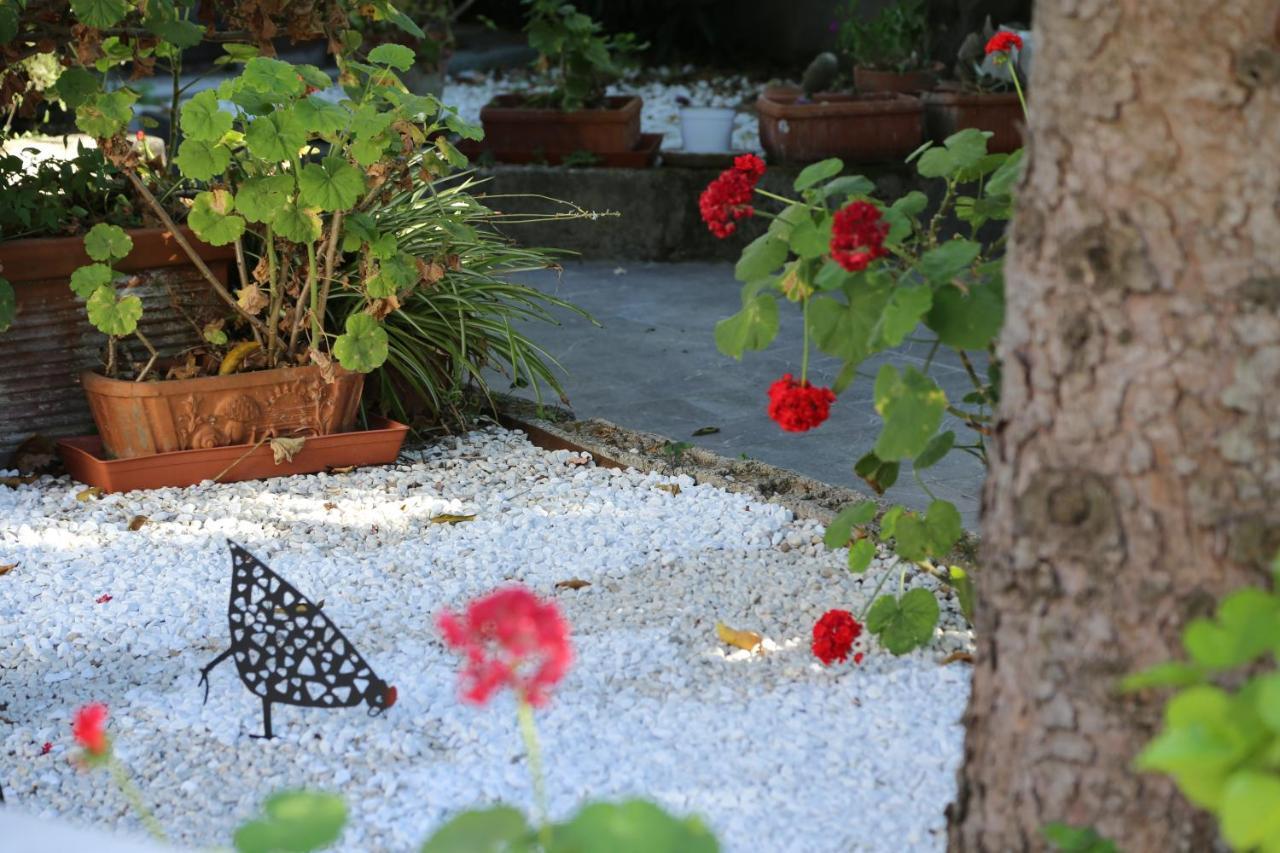 B&B Villa Gemini Sant'Agnello Luaran gambar
